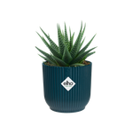 vibes fold rund mini 9cm tiefes blau